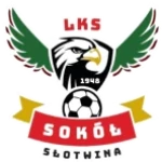 LKS Sokół Słotwina logo