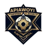 Apiawoyi United logo