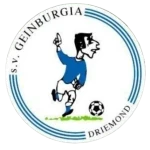 SV Geinburgia logo