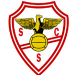 SC Salgueiros U19 logo