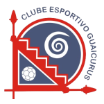 Guaicurus U15 logo