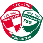 1. FC-TSG Königstein U15 logo