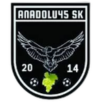 Anadolu 45 Spor U17