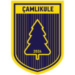Çamlıkulespor