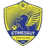 Etimesgut Belediyespor logo
