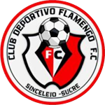 Flamengo FC 1C