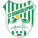 12 Bingölspor logo