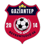 Beykentgücü 2014