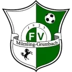 FV Mümling-Grumbach