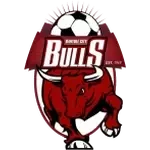 Banyule City SC logo