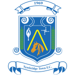 Newbridge Town logo