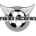 Feniks Mechowo