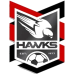 Holland Park Hawks logo