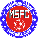 Michigan Stars logo