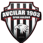 Avcılar 1903 Spor