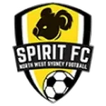 NWS Spirit