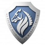 Merani Tbilisi II logo