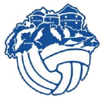 NK Desinić logo