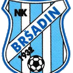 NK Bršadin logo