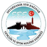 Sur Bağıvar Gençlik