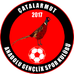 Çatalarmut Anadoluspor