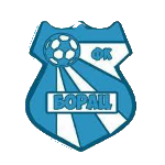 FK Borac Pločica logo