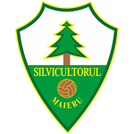 CS Silvicultorul Maieru logo