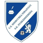 ACS Miercurea Nirajului logo