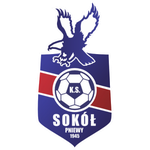 Sokół Pniewy logo