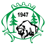 TJ Sokol Zubrohlava logo