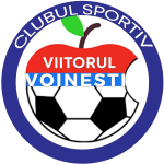 ACS Viitorul Voinești logo