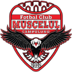 AFC Câmpulung Muscel logo