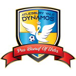 Aylesbury Vale Dynamos FC logo