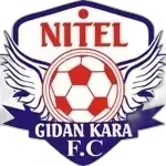 Nitel Fc