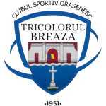 CSO Tricolorul Breaza logo
