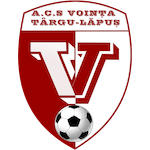 ACS Voința Târgu Lăpuș logo