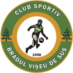 CSO Bradul Vişeu logo