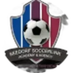Seedorf Soccer Link FC
