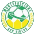 Virtus Montefalcione logo