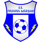 CS Fulgerul Mârșani logo