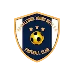 FC Bawaleshie Young Boys