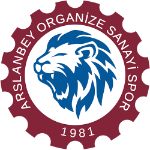 Arslanbey Organize Sanayi SK
