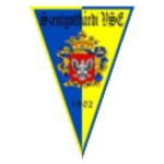 Szentgotthárdi VSE logo