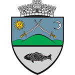 ASFC Moacşa logo