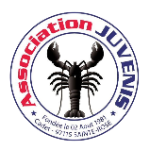Juvenis logo