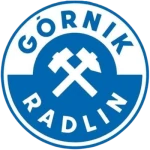 Górnik Radlin logo