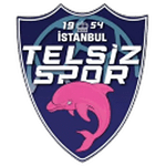 Telsizspor logo