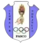 9 de Julio logo
