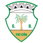 GD Vila Nova Foz Côa