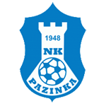 NK Pazinka U9 logo